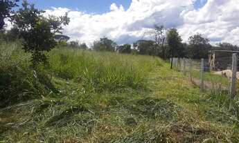 Imagem 6: Chácara Terezópolis aceito carro