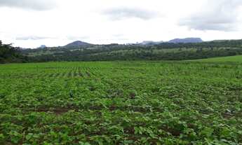 Imagem 3: 206 alqueires em Doverlandia-Go