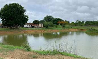 Imagem 6: Fazenda/Sítio/Chácara para venda com 6098 metros quadrados com 5 quartos em Centro - Poran