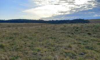 Imagem 4: Chácara 5 km asfalto Juá