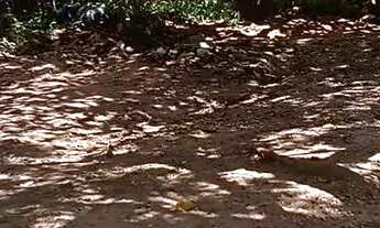 Imagem 4: Vende-se este imóvel - Rua Santa Luzia - Palitolândia (Irmã Dulce