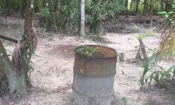 Imagem 2: Sítio na estrada de Mosqueiro