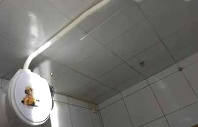 Imagem 3: Vendo casa em N Sra da Conceição Paulista