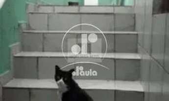 Imagem 5: Casa Térrea a venda no Jardim do Estádio Santo André ,com cobertura , 3 vagas, casa de es