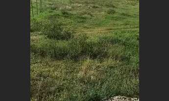 Imagem 3: Vendo 2 terrenos 8x20 casa, próximo ao SESI em Caruaru