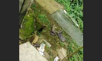 Imagem 2: Vendo Casa com 2 dormitórios