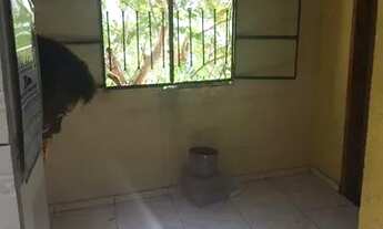 Imagem 3: CASA PRA ALUGAR EM SANTA CATARINA (NAO PAGA LUZ