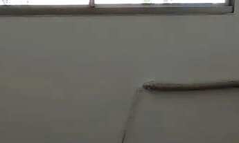 Imagem 5: Vendo Apartamento Retiro dos Pinheiros