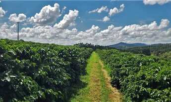 Imagem 6: Fazenda / Sítios / Chácaras com 2 dormitórios à venda em Machado