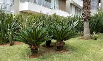 Imagem 5: CASA PARA LOCAÇÃO EM ALPHAVILLE - RESIDENCIAL VILA SOLAIA