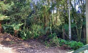 Imagem 4: Terreno em São Francisco de Paula