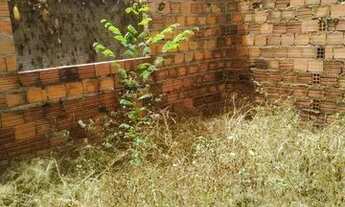 Imagem 5: Terreno no PSH Tabocas