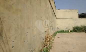 Imagem 6: Terreno plano, murado, de frente [VP