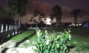 Imagem 4: Chácara com escritura pública, bezerros