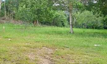 Imagem 4: Venda-se sítio Chácara com venda por R$140.000