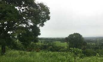 Imagem 3: Oportunidade 4 alqueires e meio