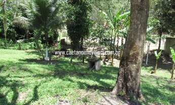 Imagem 5: Sítio em Agro-Brasil com excelente localização