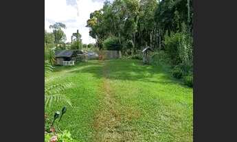 Imagem 7: Chácara no matulão região de tijucas do sul pr