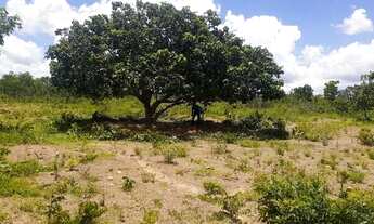 Imagem 5: Vende-se urgente