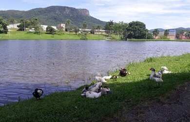 Imagem 3: Terreno multifamiliar e de uso misto à venda na Pedra Branca