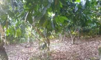 Imagem: Sitio a venda