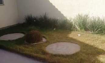 Imagem 3: Fx7 ESTOU VENDENDO ESTA LINDA CASA EM MORADA DE LARANJEIRAS