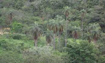Imagem 2: Lote rural de 36.000m ²,belíssima vista, nascente de água, Serra do Cipó