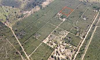 Imagem 2: Chácara em Mirabela