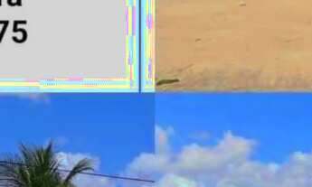 Imagem 5: Vende-se Sítio *