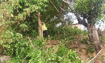 Imagem 3: Terreno em Bom Jesus dos podres