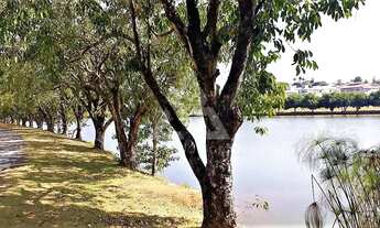 Imagem 5: Lote à venda no Palmeiras Imperiais, em Salto!