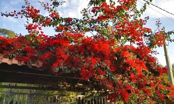 Imagem 2: Casa para relaxar, estilosa, privativa e pet friendly