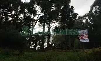 Imagem: Terreno Jardim Iracema Caxias do Sul