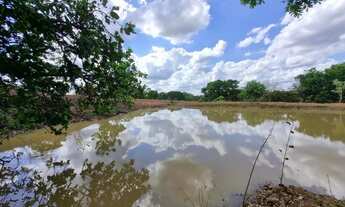 Imagem 6: Imóvel para venda possui 1010000 metros quadrados em Centro - Arinos - MG