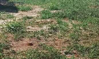 Imagem: Terreno em Uchoa SP