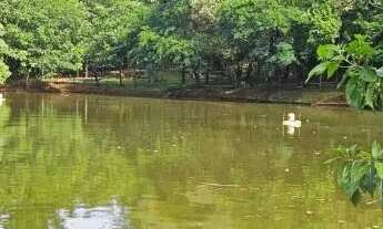 Imagem 6: TERRENO RESERVA SANTA LUISA