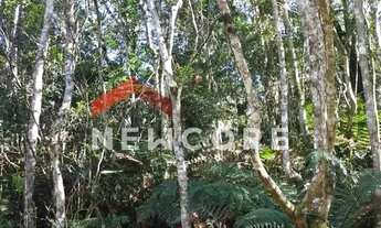 Imagem 7: Lote em Rua Maracujás - Colinas - São Francisco de Paula/RS