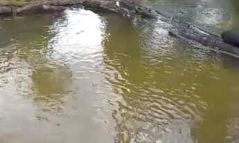 Imagem 3: Vende-se esse terreno no Iranduba AM