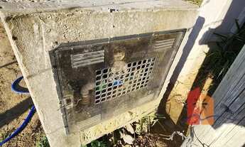 Imagem 4: Casa Nova à Venda em Paulo Lopes 2 Quartos