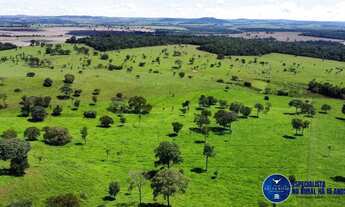 Imagem 2: Fazenda à Venda em Santa Bárbara GO | 26 Alqueires