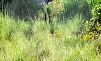 Imagem 5: Terreno à venda em Residencial Monte Cristo - RR