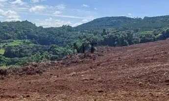 Imagem 7: Área de terra bairro Quatro Cantos, Picada Café.RS REF: 333