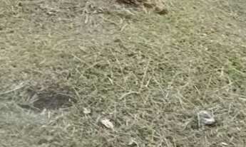 Imagem 4: Lote de 277 m2 a venda