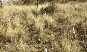 Imagem 4: Terreno 1000m2 Terreno / lote com venda por R$35.000