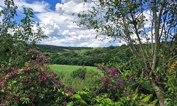Imagem 6: Terreno em ibiuna