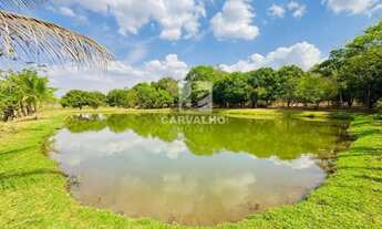 Imagem 4: Chácara a venda em Terezóplis-GO