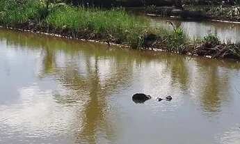 Imagem 6: Sítio com 9 viveiros camarão/peixes