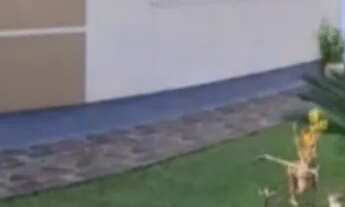 Imagem 2: LINDA CASA COM EDÍCULA - terreno 360m²