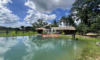 Imagem: Chácara 5,12 Alqueire (24,78 hectares)