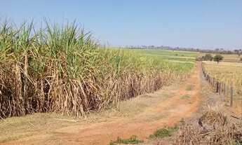 Imagem 7: FAZENDA COM 200 ALQUEIRES PAULISTA, EM DIRCE REIS- SP